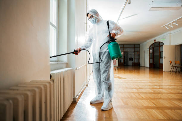 Best Residential Pest Control  in Jackson, MN